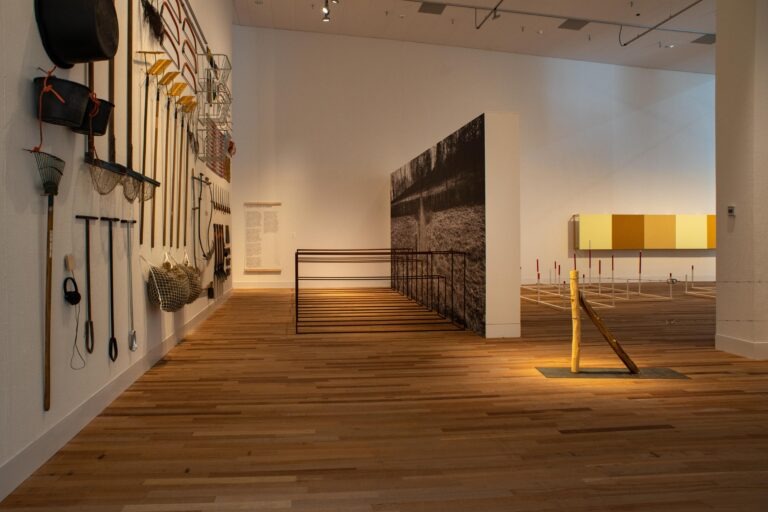 Uit het leven van een vlinder