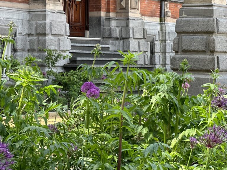 De Apothekerstuin voor Dieren